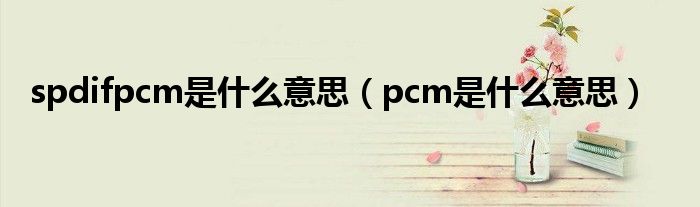 spdifpcm是什么意思（pcm是什么意思）