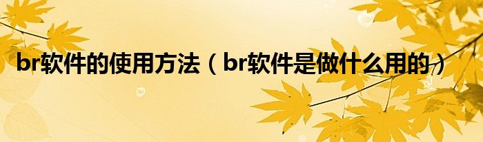 br软件的使用方法（br软件是做什么用的）