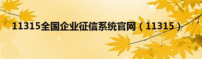 11315全国企业征信系统官网（11315）