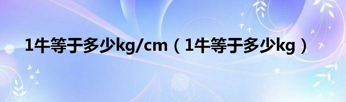 1牛等于多少kg/cm（1牛等于多少kg）