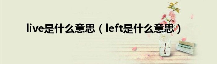 live是什么意思（left是什么意思）