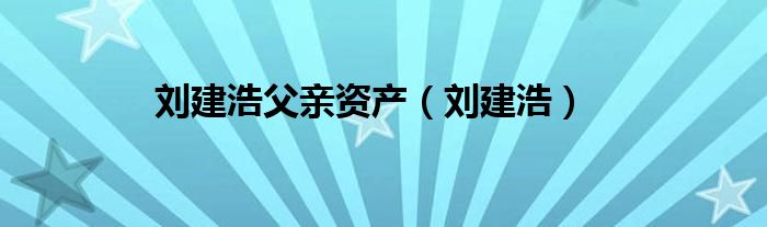 刘建浩父亲资产（刘建浩）