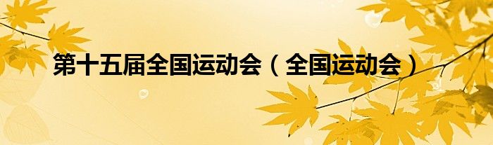 第十五届全国运动会（全国运动会）