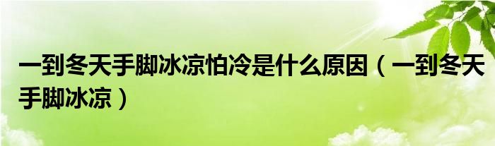 一到冬天手脚冰凉怕冷是什么原因（一到冬天手脚冰凉）