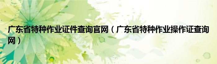 广东省特种作业证件查询官网（广东省特种作业操作证查询网）