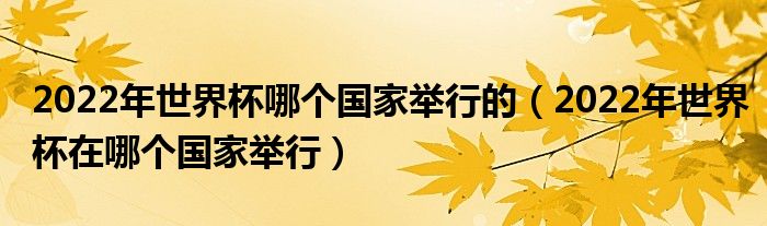 2022年世界杯哪个国家举行的（2022年世界杯在哪个国家举行）