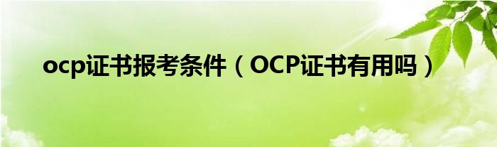 ocp证书报考条件（OCP证书有用吗）