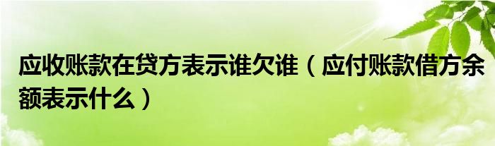 应收账款在贷方表示谁欠谁（应付账款借方余额表示什么）