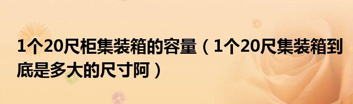 1个20尺柜集装箱的容量（1个20尺集装箱到底是多大的尺寸阿）