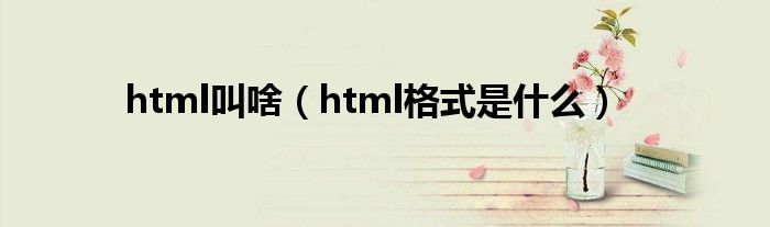 html叫啥（html格式是什么）