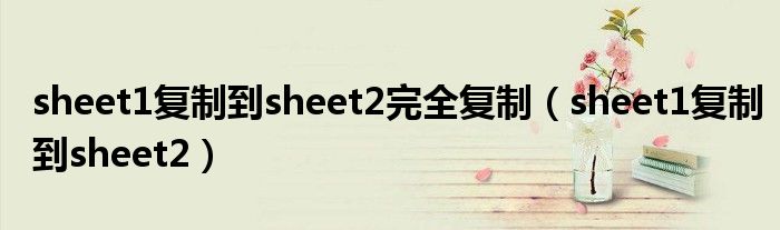 sheet1复制到sheet2完全复制（sheet1复制到sheet2）