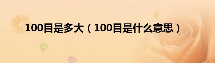 100目是多大（100目是什么意思）