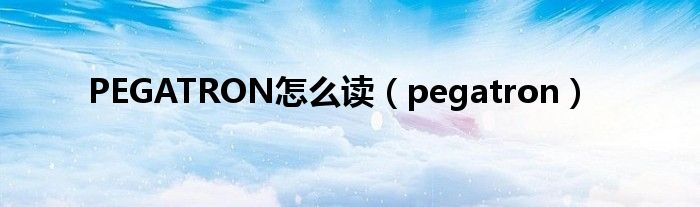 PEGATRON怎么读（pegatron）