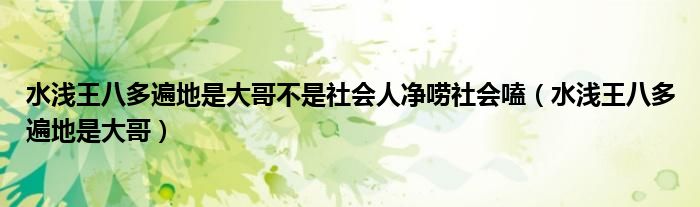 水浅王八多遍地是大哥不是社会人净唠社会嗑（水浅王八多遍地是大哥）