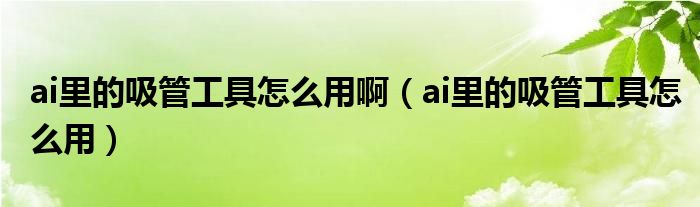 ai里的吸管工具怎么用啊（ai里的吸管工具怎么用）