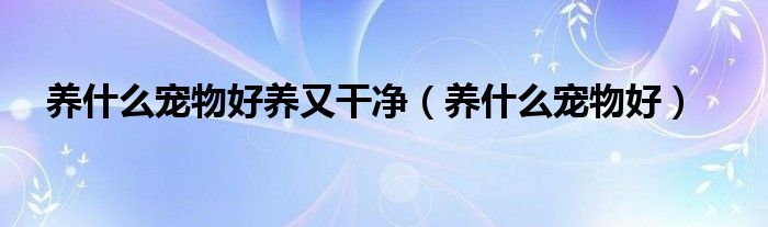 养什么宠物好养又干净（养什么宠物好）