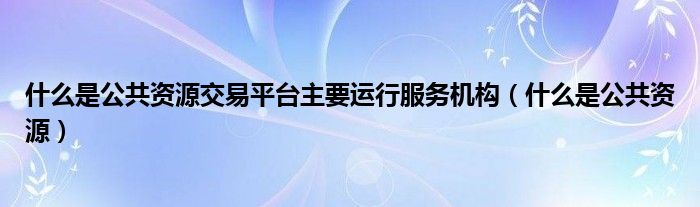 什么是公共资源交易平台主要运行服务机构（什么是公共资源）