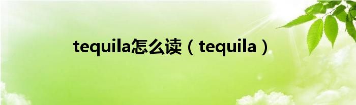 tequila怎么读（tequila）