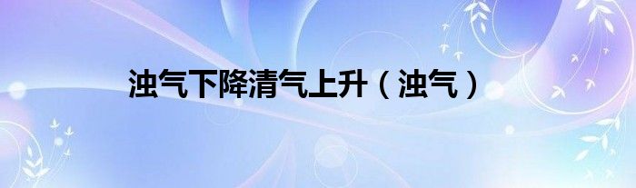 浊气下降清气上升（浊气）