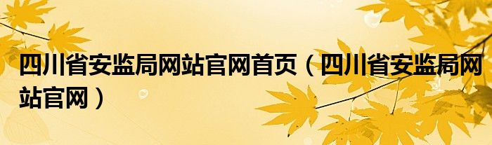 四川省安监局网站官网首页（四川省安监局网站官网）