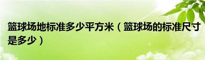 篮球场地标准多少平方米（篮球场的标准尺寸是多少）