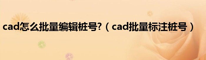 cad怎么批量编辑桩号?（cad批量标注桩号）