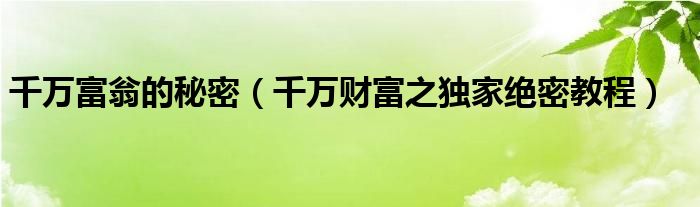 千万富翁的秘密（千万财富之独家绝密教程）