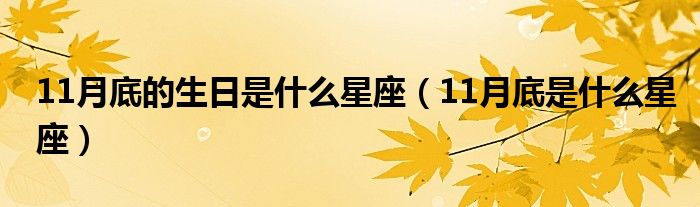 11月底的生日是什么星座（11月底是什么星座）