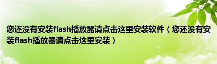 您还没有安装flash播放器请点击这里安装软件（您还没有安装flash播放器请点击这里安装）