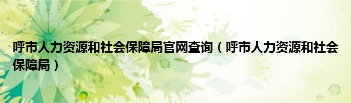 呼市人力资源和社会保障局官网查询（呼市人力资源和社会保障局）