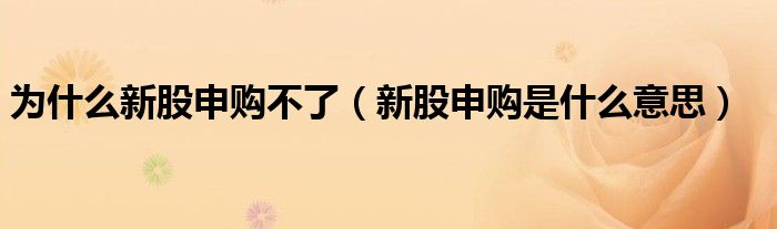 为什么新股申购不了（新股申购是什么意思）