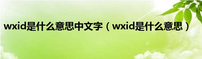 wxid是什么意思中文字（wxid是什么意思）