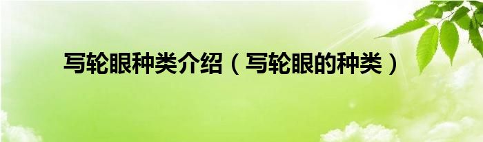 写轮眼种类介绍（写轮眼的种类）