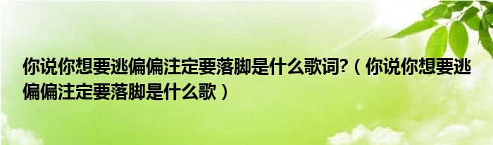 你说你想要逃偏偏注定要落脚是什么歌词?（你说你想要逃偏偏注定要落脚是什么歌）