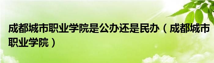 成都城市职业学院是公办还是民办（成都城市职业学院）