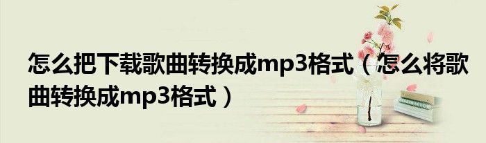 怎么把下载歌曲转换成mp3格式（怎么将歌曲转换成mp3格式）