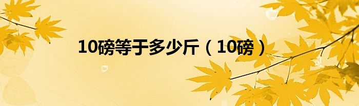 10磅等于多少斤（10磅）