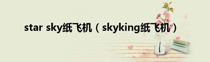 star sky纸飞机（skyking纸飞机）