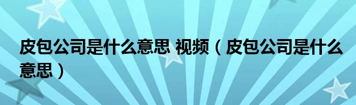 皮包公司是什么意思 视频（皮包公司是什么意思）