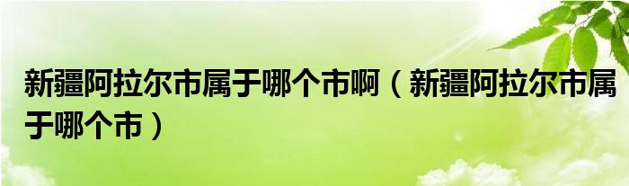 新疆阿拉尔市属于哪个市啊（新疆阿拉尔市属于哪个市）