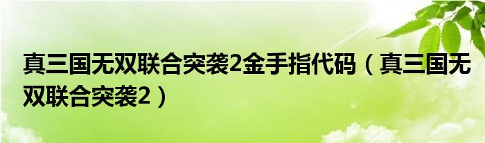 真三国无双联合突袭2金手指代码（真三国无双联合突袭2）