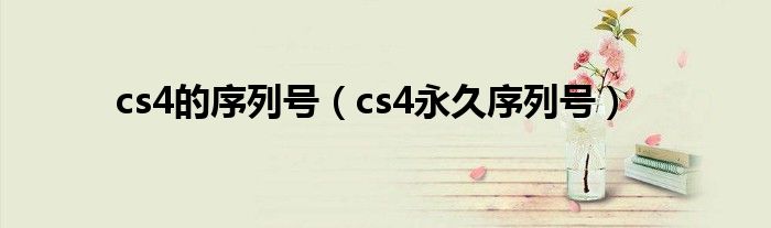 cs4的序列号（cs4永久序列号）