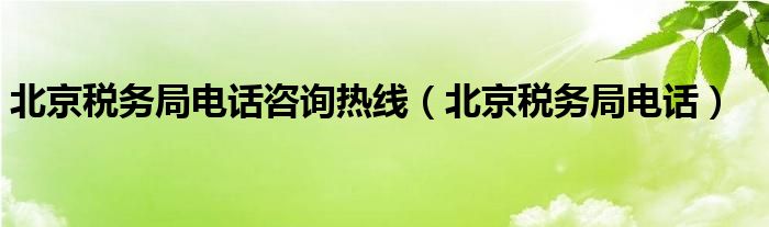 北京税务局电话咨询热线（北京税务局电话）