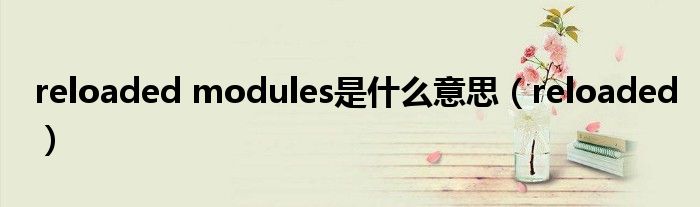 reloaded modules是什么意思（reloaded）