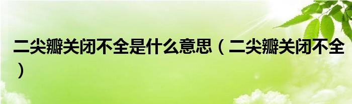 二尖瓣关闭不全是什么意思（二尖瓣关闭不全）