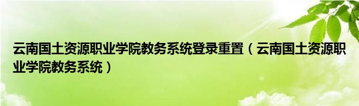 云南国土资源职业学院教务系统登录重置（云南国土资源职业学院教务系统）