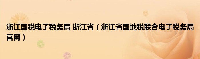 浙江国税电子税务局 浙江省（浙江省国地税联合电子税务局官网）