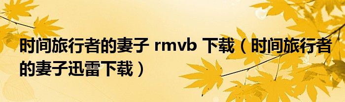 时间旅行者的妻子 rmvb 下载（时间旅行者的妻子迅雷下载）