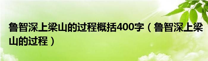 鲁智深上梁山的过程概括400字（鲁智深上梁山的过程）