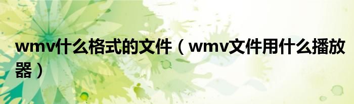 wmv什么格式的文件（wmv文件用什么播放器）